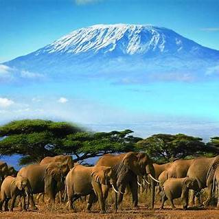 Amboseli National Park